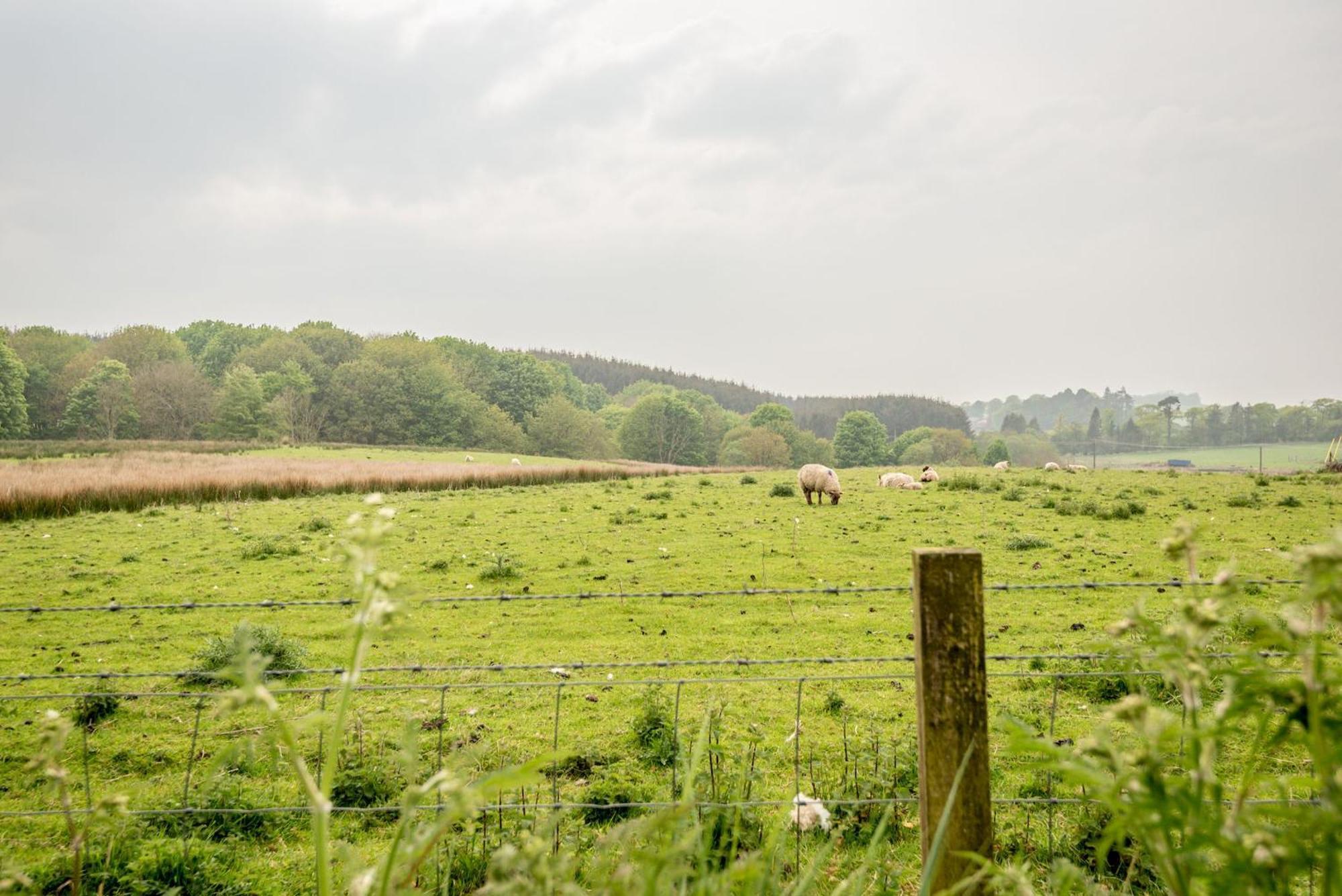 Jura - Peat Holiday home